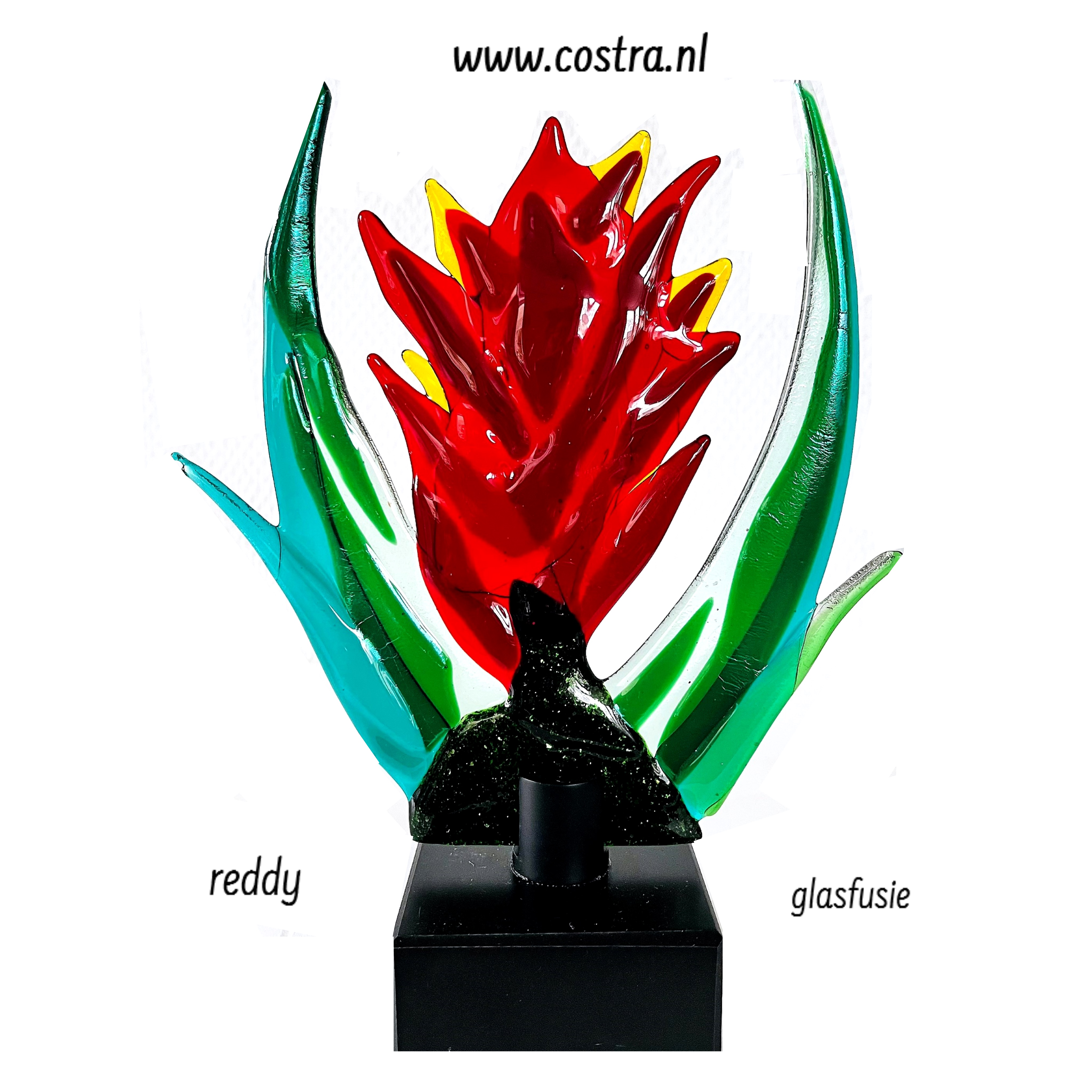reddy